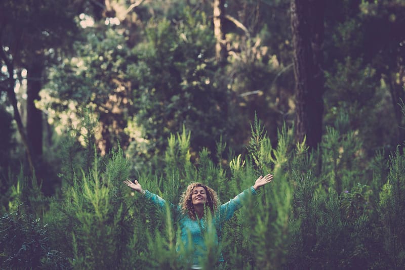 Embracing outdoor and love nature concept with happy beautiful woman in the middle of a forest trees